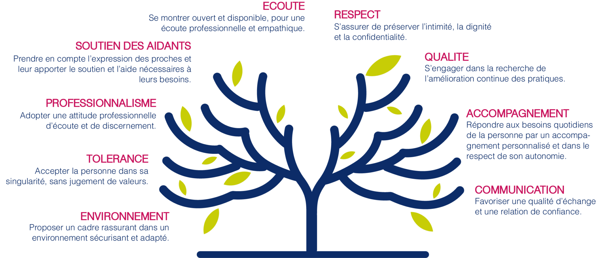 VALEURS - ARBRE